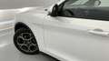 Alfa Romeo Stelvio 2.2 Sprint RWD Aut. 160 Blanco - thumbnail 28