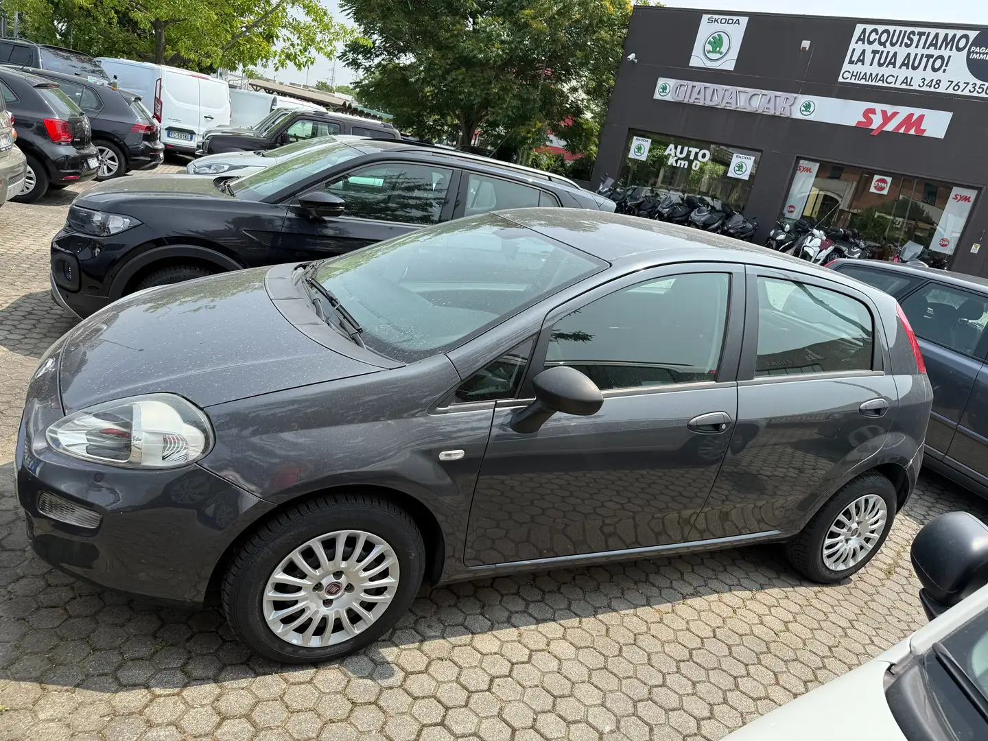 Fiat Punto Punto 5p 1.3 mjt II 16v 75cv E5+ Gris - 2