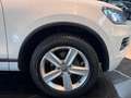 Volkswagen Touareg V6 TDI Bi-Xenon Pano Sport AHK 1.Hand Weiß - thumbnail 4