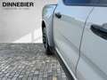 Ford Ranger MS-RT Leder, Klima, LED, AHK, Navi,4X4 Grau - thumbnail 22