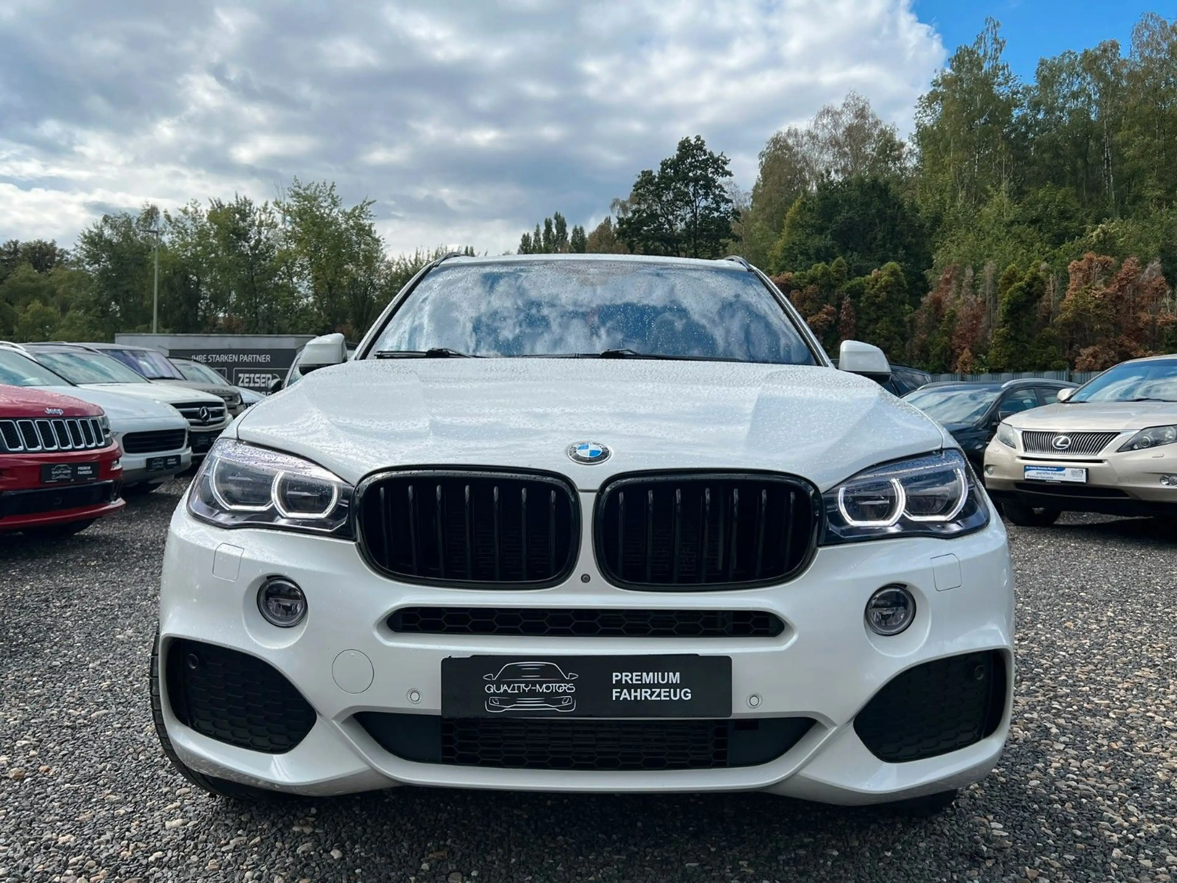 BMW X5 xDRIVE 30d M SPORT-100% FULL-PANORAMA-M PAKET — photo 6