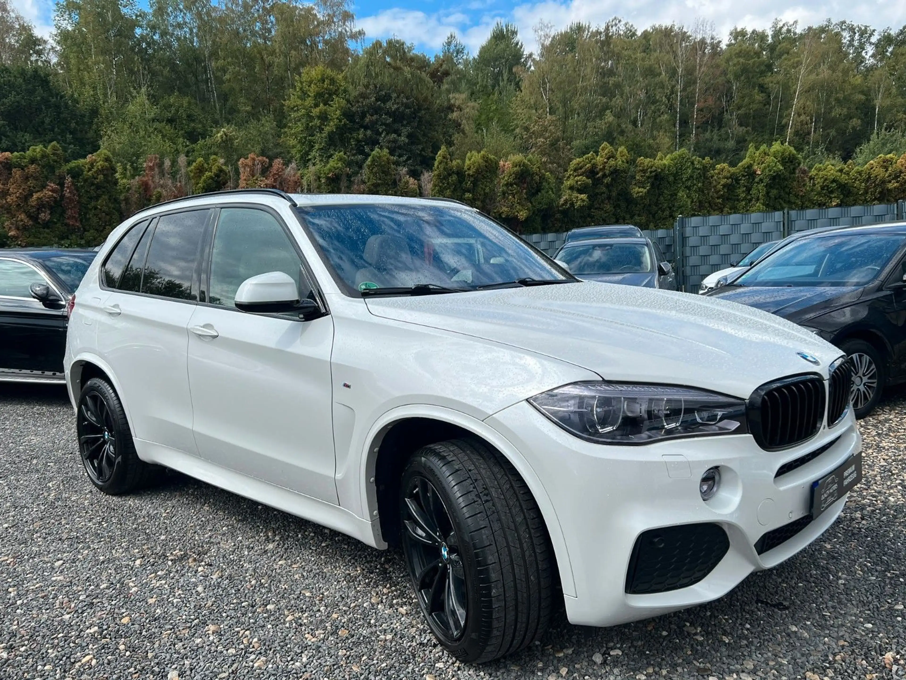 BMW X5 xDRIVE 30d M SPORT-100% FULL-PANORAMA-M PAKET — photo 5