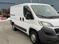 Fiat Ducato Weiß - thumbnail 1