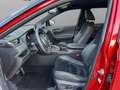 Toyota RAV 4 RAV4 5 porte 2.5 Hybrid E-CVT AWD-i GR SPORT BITONE Bronze - thumbnail 6