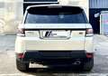 Land Rover Range Rover Sport 3.0 TDV6 HSE Dynamic Argento - thumbnail 6