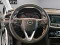 Opel Grandland X 1.5 ecotec 130cv Business Edition Telecamera Navi Blanco - thumbnail 14