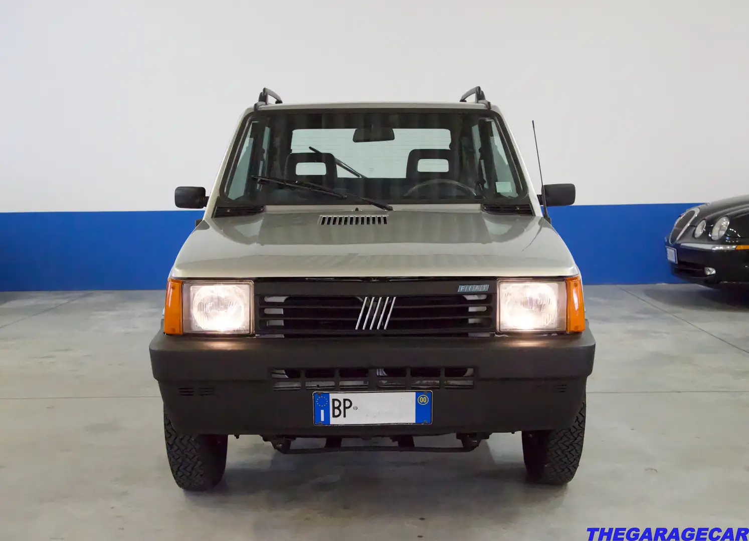 Fiat Panda 4x4 Trekking Gris - 1