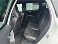 Volvo XC60 Aut.R-Design AWD-Allrad/5-ZYLINDER Motor Weiß - thumbnail 10