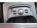 Ford Focus Titanium 2.0 TDCi PowerShift Leder SHZ BiX Braun - thumbnail 11