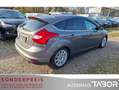 Ford Focus Titanium 2.0 TDCi PowerShift Leder SHZ BiX Braun - thumbnail 3