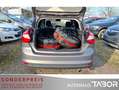 Ford Focus Titanium 2.0 TDCi PowerShift Leder SHZ BiX Braun - thumbnail 12