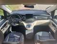 Mercedes-Benz V V 250 Marco Polo 4Matic - thumbnail 5