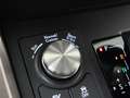 Lexus NX 300h AWD F Sport Line Limited | Panoramadak | Safety Sy Grau - thumbnail 38