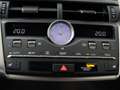 Lexus NX 300h AWD F Sport Line Limited | Panoramadak | Safety Sy Grau - thumbnail 11