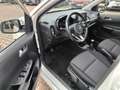 Kia Picanto 1.0 Dream-Team Edition Weiß - thumbnail 8