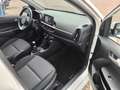 Kia Picanto 1.0 Dream-Team Edition Weiß - thumbnail 10
