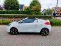 Renault Wind 1.2 TCE Collection cabrio airco cuise ALLINPRIJS Weiß - thumbnail 4