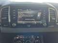 Skoda Karoq 1,5 TSI ACT DSG Ambition LED AHK RFK SHZ mit 1 ... Blau - thumbnail 20