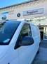 Volkswagen T6 Transporter Transporter 2.0 TDI 110CV PC Furgone Business Blanc - thumbnail 4