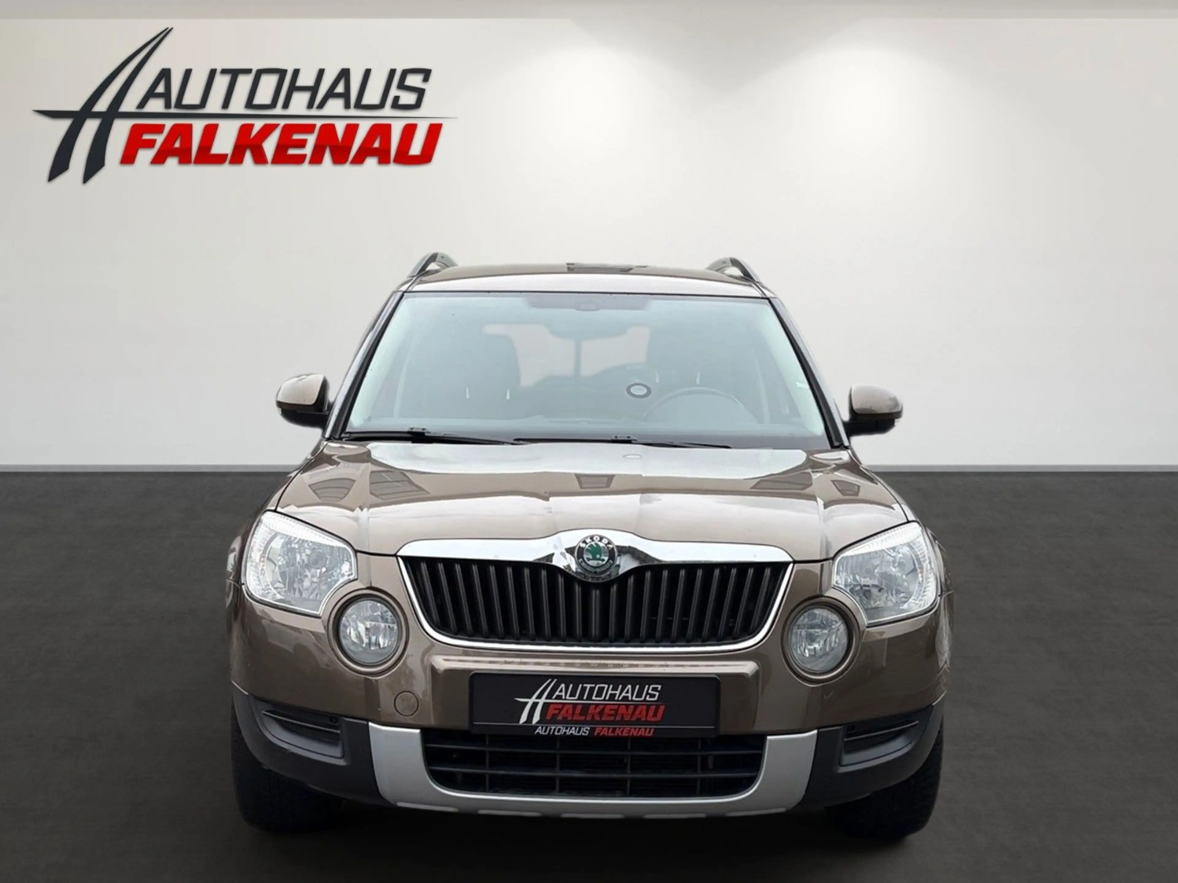 Skoda Yeti — photo 2