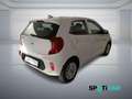 Kia Picanto 1.0 12V 5 porte Style Bianco - thumbnail 7