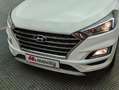 Hyundai TUCSON 1.6 CRDI 115CV CREATIVE Bianco - thumbnail 15
