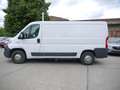 Fiat Ducato Kasten 30 130 L2H1 RS: 3450 mm Weiß - thumbnail 4