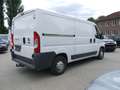 Fiat Ducato Kasten 30 130 L2H1 RS: 3450 mm Weiß - thumbnail 8