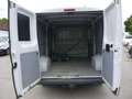 Fiat Ducato Kasten 30 130 L2H1 RS: 3450 mm Weiß - thumbnail 14