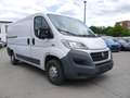 Fiat Ducato Kasten 30 130 L2H1 RS: 3450 mm Weiß - thumbnail 3