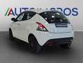 Lancia Ypsilon 1.0 FireFly Hybrid Oro Alb - thumbnail 3