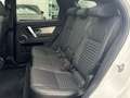 Land Rover Discovery Sport 2.0D TD4 MHEV Dynamic SE AWD Auto 163 Blanc - thumbnail 13