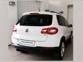 Volkswagen Tiguan Track & Field 4Motion Weiß - thumbnail 3