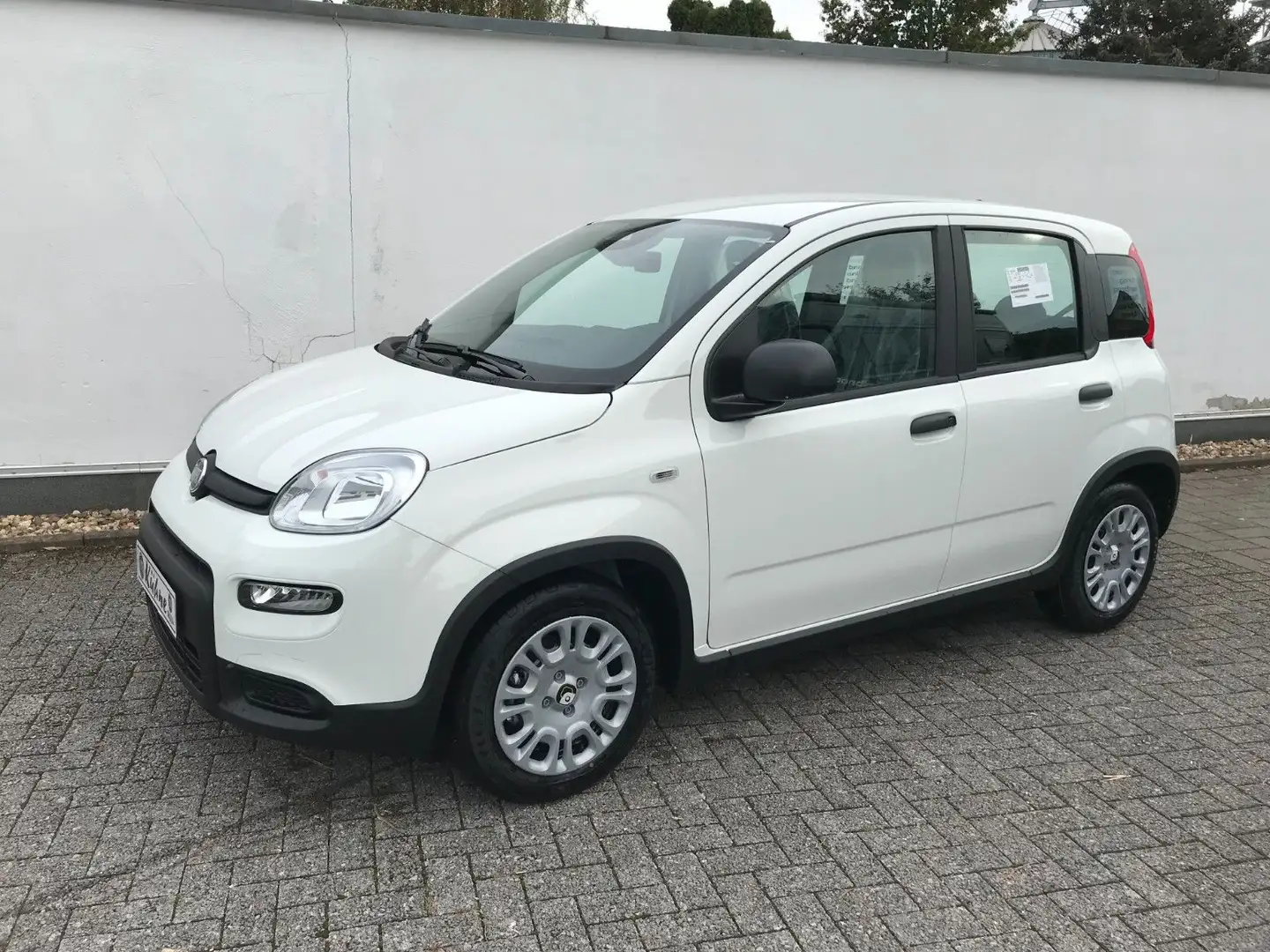 Fiat Panda 1.0 GSE Hybrid 2024 Sitzheizung Fahrerseit Weiß - 1