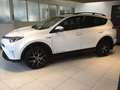Toyota RAV 4 4WD Lounge + Technik P. + AHV Weiß - thumbnail 4