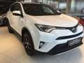 Toyota RAV 4 4WD Lounge + Technik P. + AHV Weiß - thumbnail 3