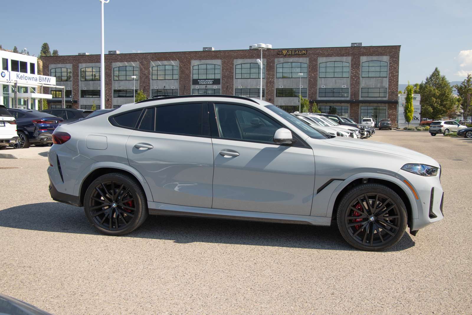 2026 BMW X6