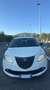 Lancia Ypsilon 1.2 8v Elefantino c/clima ecochic Gpl 69cv - thumbnail 3