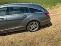 Mercedes-Benz CLS 250 CLS 250 BlueTEC 4-Matic Grau - thumbnail 8