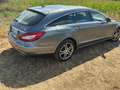 Mercedes-Benz CLS 250 CLS 250 BlueTEC 4-Matic Grau - thumbnail 17