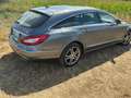 Mercedes-Benz CLS 250 CLS 250 BlueTEC 4-Matic Grau - thumbnail 4
