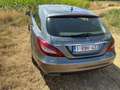 Mercedes-Benz CLS 250 CLS 250 BlueTEC 4-Matic Grau - thumbnail 19