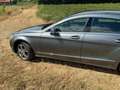 Mercedes-Benz CLS 250 CLS 250 BlueTEC 4-Matic Grau - thumbnail 22