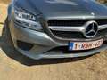Mercedes-Benz CLS 250 CLS 250 BlueTEC 4-Matic Grau - thumbnail 13