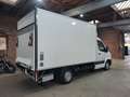 Hyundai H 350 Koffer mit LBW Tüv Tempomat 1 t Zuladung Weiß - thumbnail 5