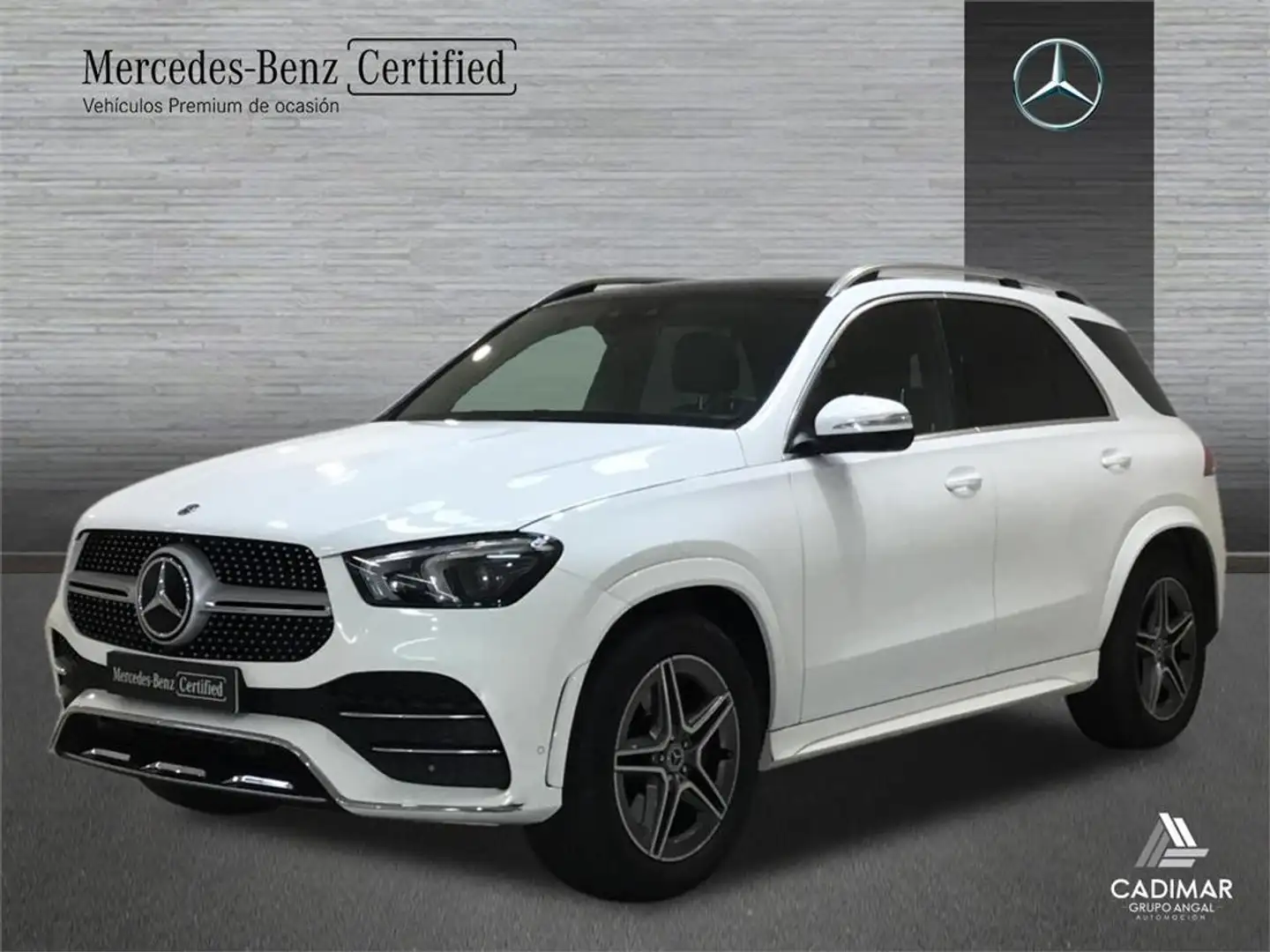 Mercedes-Benz GLE 300 300d 4Matic Aut. - 1