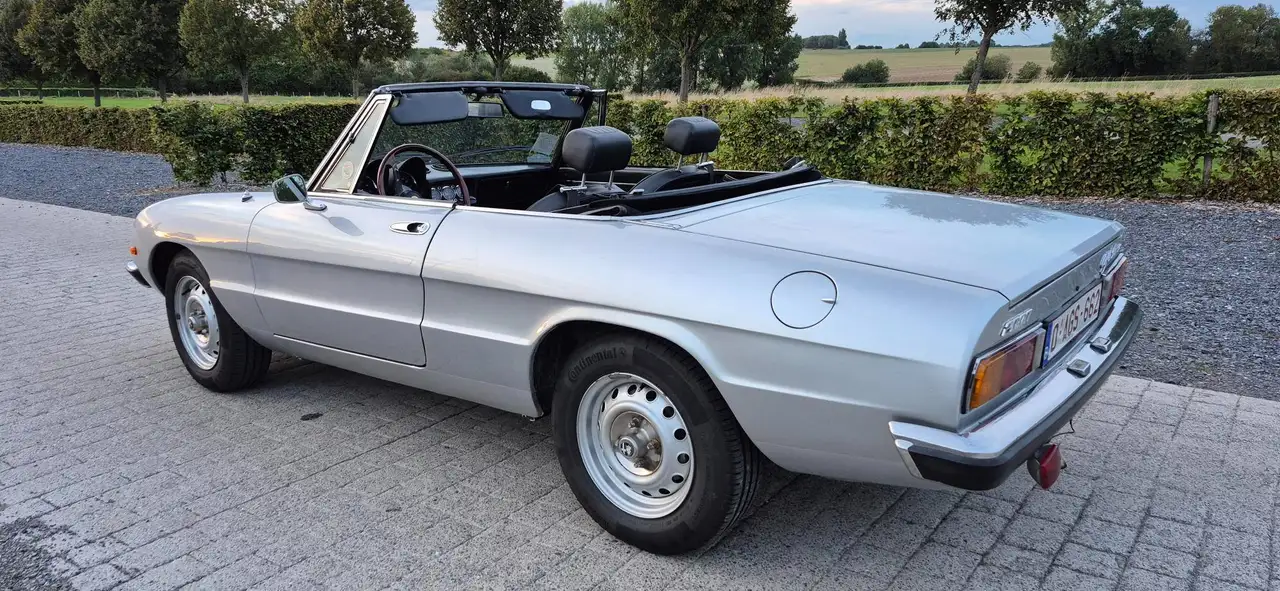 Alfa Romeo Spider Coda Tronca, foto 4