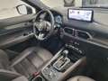 Mazda CX-5 2.2 Signature awd 184cv auto Blau - thumbnail 40