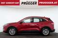 Ford Kuga 2,5 Duratec FHEV AWD Auto TITANIUM NAVI LED AHV Rot - thumbnail 8