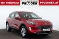 Ford Kuga 2,5 Duratec FHEV AWD Auto TITANIUM NAVI LED AHV Rot - thumbnail 4